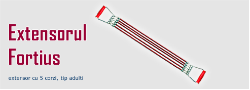 Extensor FORTIUS adulţi